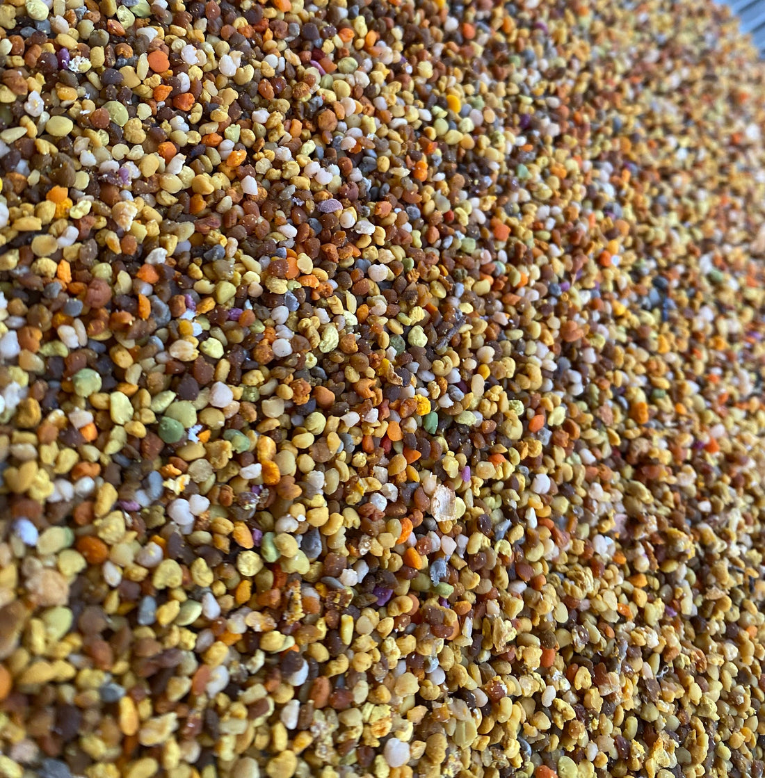 🐝 5 razlogov, zakaj je cvetni prah superživilo, ki ga morate vključiti v prehrano